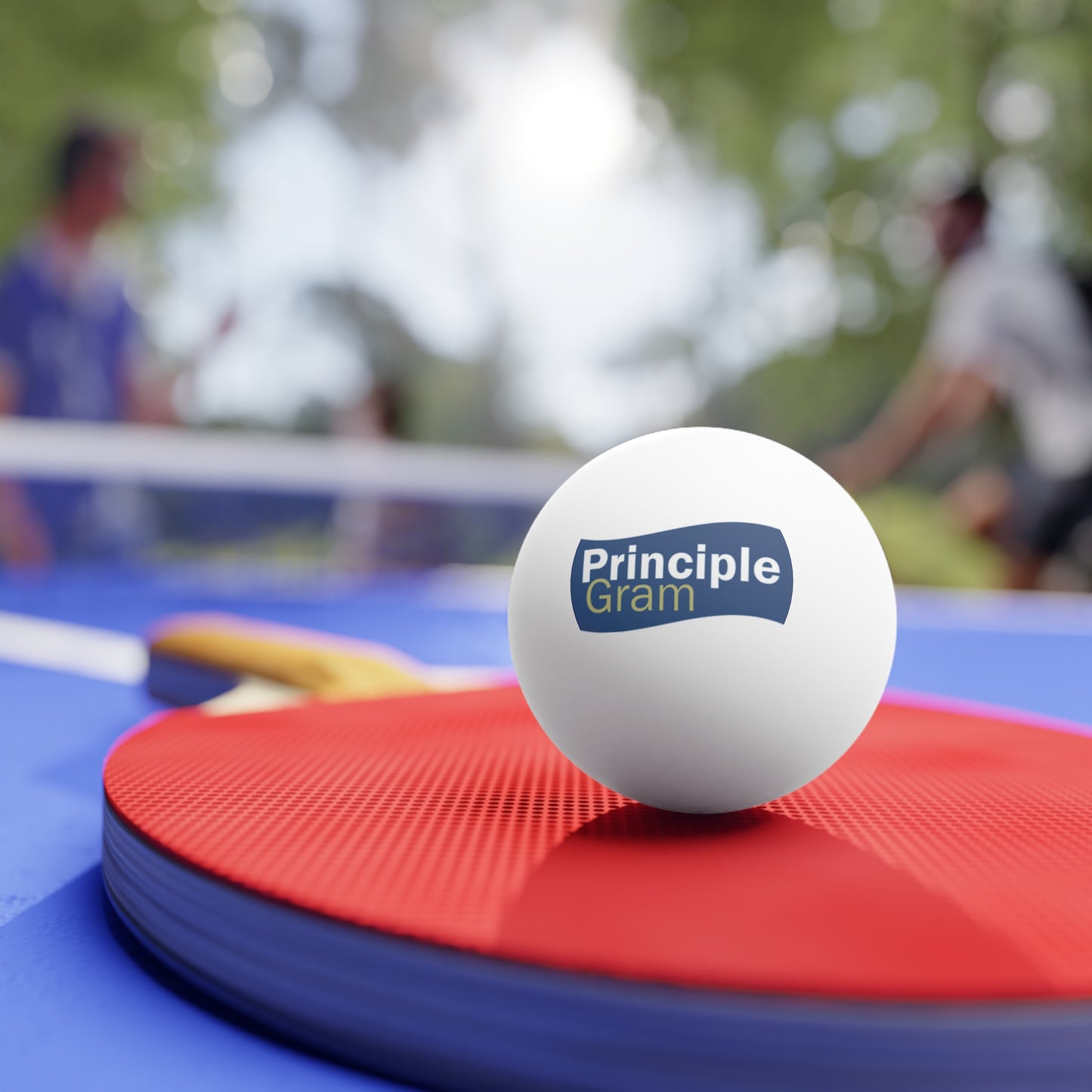 PrincipleGram Ping Pong Balls, 6 pcs